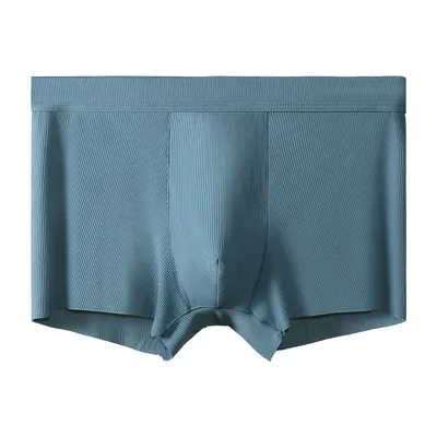 Antibakterielle Herrenunterwäsche aus Eisseide. Dünner und atmungsaktiver Stil für den Sommer. Boxershorts für Herren. Trendige Herren flach - Image