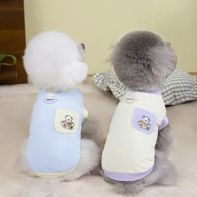 Pet+Costumes