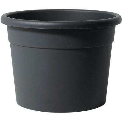 Diana-Vase Turteltaube - 50 cm Image