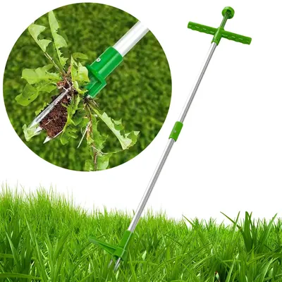 Garden+Tools