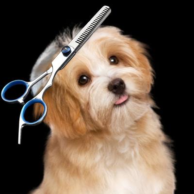 TEMU Professional Pet Grooming Scissors With Safety Teeth, Stainless Steel - Ultra-sharp 6-inch Tooth Scissors, Odorless, Manual Use, No Power Or Batteries Required, Tooth Design For Precise Trimming Image