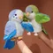 20 cm Papagei Plüsch Hand Finger Geschichte Puppe Kuscheltiere Spielzeug Kawaii Puppen Pädagogisches Baby Spielzeug Kinder Geschenk Vogel Handpuppe