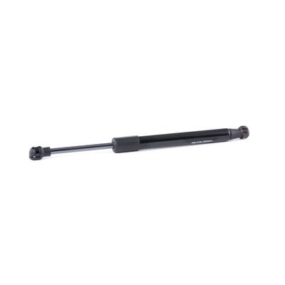 RIDEX Heckklappendämpfer BMW 219G0894 51247191255 Image