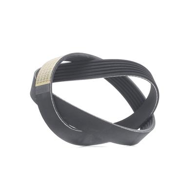 RIDEX Keilrippenriemen OPEL,RENAULT,VOLVO 305P0487 009160356,93196098,093190698 Rippenriemen 9160356,7701064331,4500056,7700300614,09160356,093196098 Image