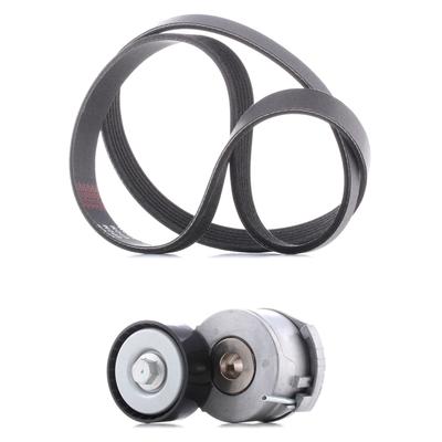 RIDEX PLUS Keilrippenriemensatz FORD,FIAT,PEUGEOT 542R0125P 1683646,1768088,9M5Q6A228BA 9M5Q6A228BB,1611278380,1611425780,5750YX,5751H8 Image