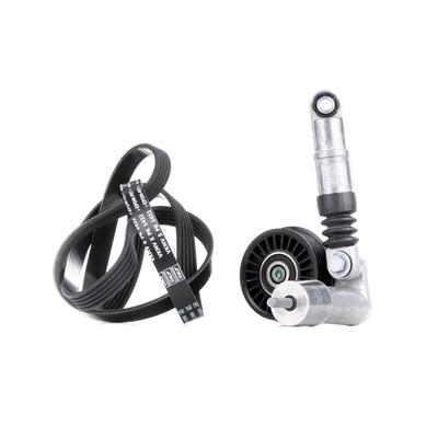 SKF Keilrippenriemensatz VW,AUDI,SKODA VKMA 31000 038903137H,038903137T,038903315D 038903315P,VKM31013,VKMV5PK1432,038145299A,038145278 Image