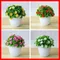 1pc piante artificiali Bonsai piccoli fiori piante in vaso fiori finti ornamenti in vaso per la decorazione domestica Hotel Garden Decor