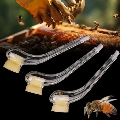 2/6/10PCS Beekeeping King Bee Catcher Catching Queen Cage Device Catch King Apicultura Rearing