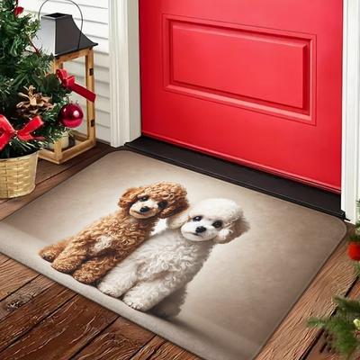 TEMU 1pc Cute Flannel Doormat - Non-slip, Machine Washable, Water Absorbent, Decorative Floor Mat For Bathroom, Kitchen, Bedroom, Office - Polyester Knit, Square Shape Locking Image