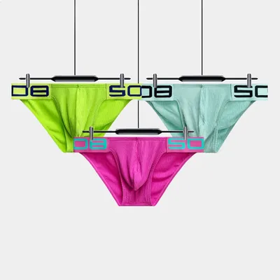 3 Stücke Mischfarben Sexy Baumwolle Niedrige Taille Herren Slips Unterwäsche Bikini Dessous Cueca Neue Ankunft Image
