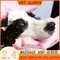 Pet Grooming Reinigungshandschuhe Hund Katze Badeshampoo Handschuh Wäscher Magic Dishwashing Cleanner Schwamm Silikon Haarentfernungshandschuh