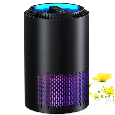 Air+Purifiers