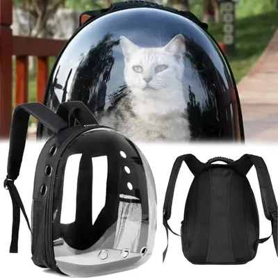 More+Pet+Supplies