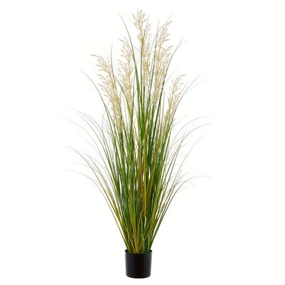 TEMU Pampas Grass, 47 Inches Tall, Decorative Indoor Plants In A Pot, Home And Office Decor, An Gift For . Image