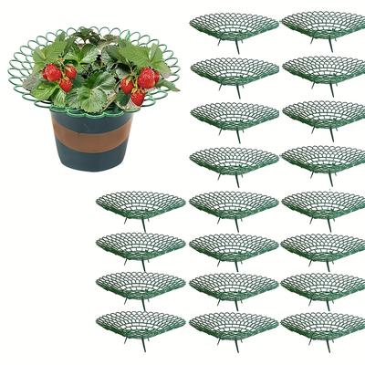 TEMU 5/10/20pcs Strawberry Plant Supports, Strawberry Support Stand Strawberry Growing Racks Protector Fruit Growing Frame With Sturdy Legs Keep Berries Clean And Avoid Ground Rot In Image
