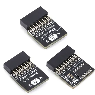 TPM 2.0 Encryption Security Module LPC Interface Cryptography Security Module Encrypted Protection