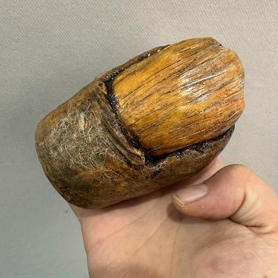 TEMU Large Sasquatch Toe Resin Sculpture - Brown Bear Toe Art Piece, Indoor/outdoor Decor, No Electricity Needed, Indoor Outdoor Decor | Design | Texture, Sasquatch Decor Image