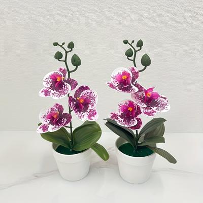 TEMU Pack Of 2 Artificial Phalaenopsis Potted Plants, Office Desk Decoration, Home Decor, Graduation Season Gift Image