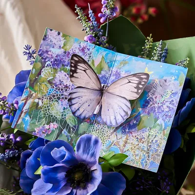 Greeting+Cards