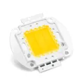 Chip LED ad alta potenza 1W 3W 5W 20W 50W 100W Perlina luminosa Bianco freddo naturale caldo Fai da te 1 3 20 50 Watt Smd Cob Lampadina per proiettore luminoso