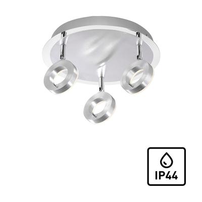 Deckenleuchte PAUL NEUHAUS "SILEDA", grau (aluminiumfarben), Lampen, Ø 33,5cm H: 16,5cm, LED, IP44, H:16,5cm Ø:33,5cm Image