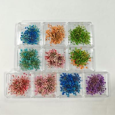 TEMU 10-color Vibrant Dried Gypsophila Nail Art Charms - Natural Floral Decorations For Diy Crafts, Resin Projects, Candle & Soap Making, Manicure Designs, Nail Charms Image