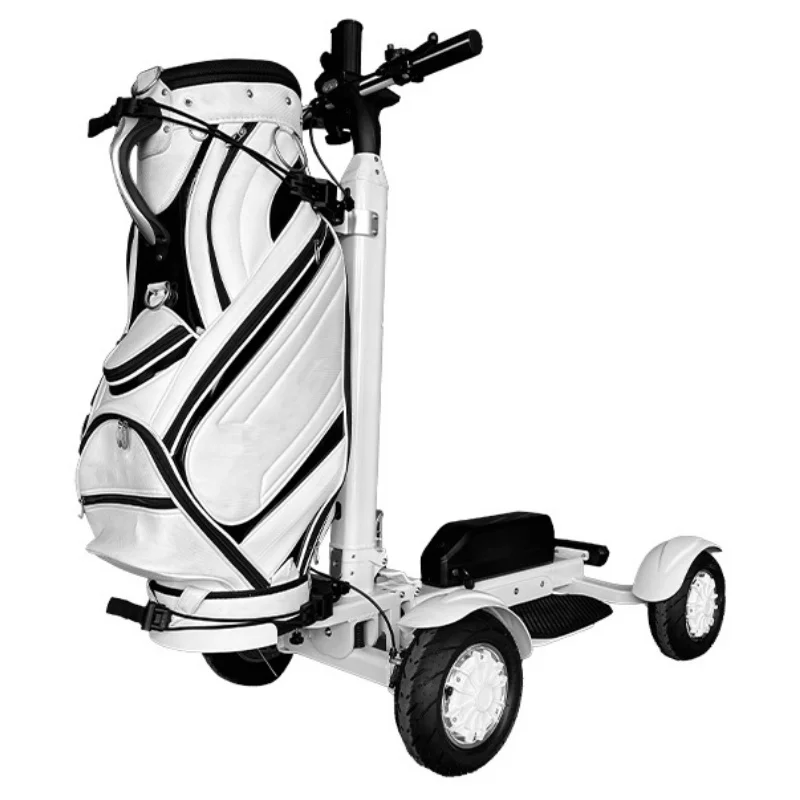 Leistungsstarker Golf-Elektroroller, 25,4 cm, für Erwachsene, Doppelmotor, faltbarer Mobilitätsroller, abnehmbarer Akku, Passwortstart Image