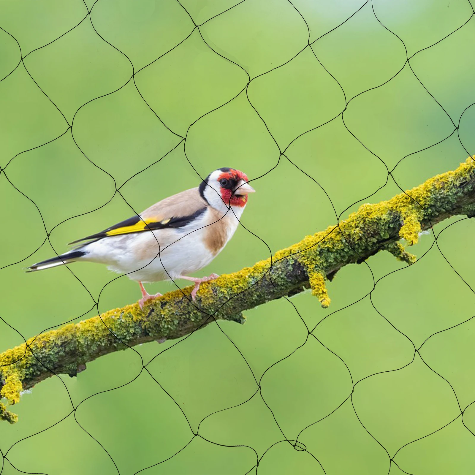 Filet de protection contre les oiseaux 30 x 15 m, filet de jardin, filet pour arbres fruitiers, maille 5 cm, tissage en polyester pour jardin, noir