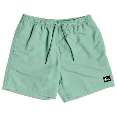 Quiksilver - Surfsilk Straight Volley 16 - Boardshorts Gr XL türkis/grün Image
