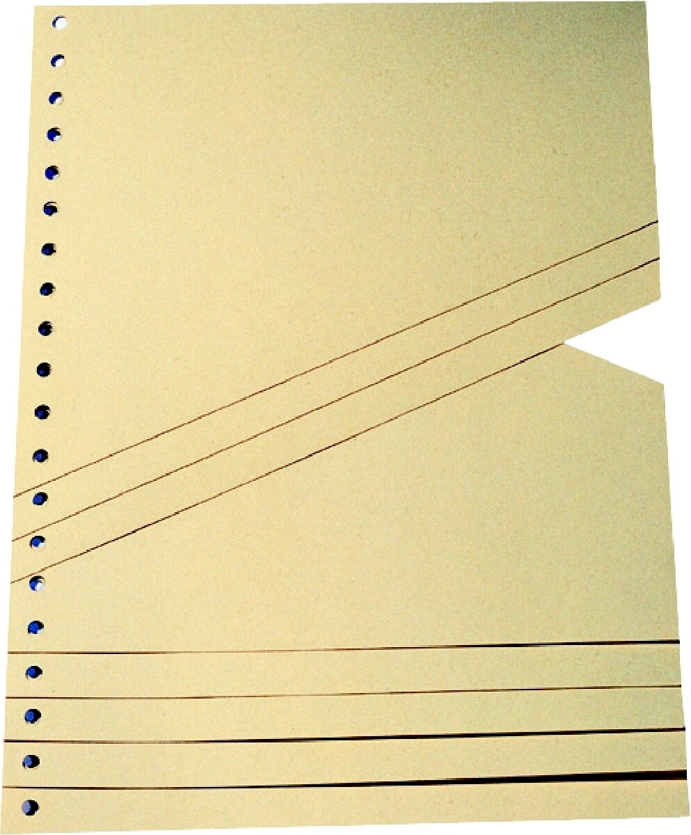 Staffeltrennblätter BxH 230x300mm chamois VE=10x100 Stück Image