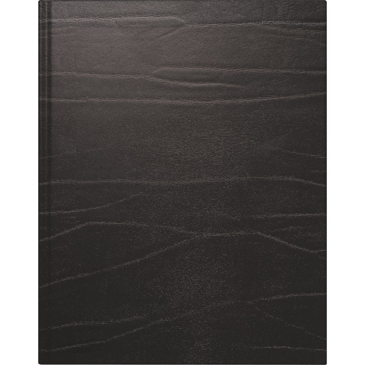 Rido Buchkalender Managerkalender TM 20,5x26cm 1 Woche/2 Seiten Leder schwarz 2026. Image