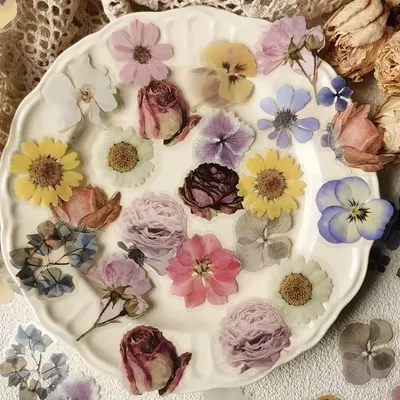 40pcs Simulation Dried-up Plants Flowers PET Stickers DIY Scrapbook Planner Decor Diary Aesthetics