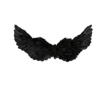 Engel Drag Queen Stolz Federflügel Erwachsene Unisex Pride Parade Pride-Monat Halloween Einfaches Karnevalskostüm Image
