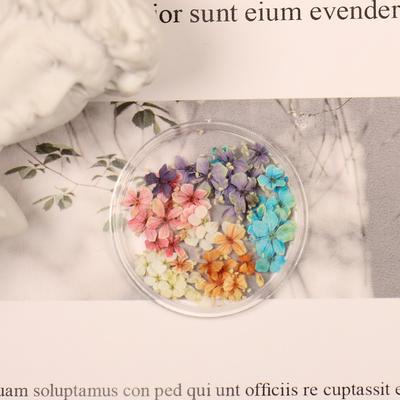 TEMU Box Of 50 New Handmade Dry Flower Ornaments For Diy Three-dimensional Nail Art Decorations Image