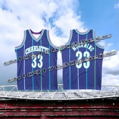 American Men's Basketball Jersey Retro Classic Jersey 1994/95 Version Charlotte No. 33 Alonzo