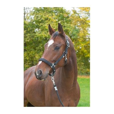 Halfter "Dexter" mit Fleeceunterlage, Größe 3 (Warmblut), schwarz Image
