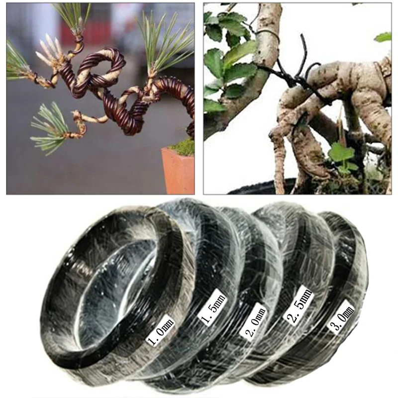 Schwarzer Bonsai-Trainingsdraht 5 m | Werkzeug zur Unterstützung und Formung von Pflanzen aus eloxiertem Aluminium | Gartenformungszubehör für Baumdesign Image