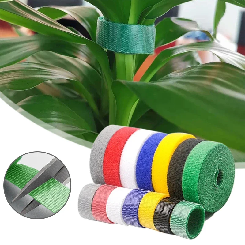 Hausgarten Schnur Pflanze Krawatten Nylon Pflanze Verband Garten liefert Hakens ch laufe Bambus Rohr Wrap Unterstützung wieder verwendbare Pflanze Zubehör Image