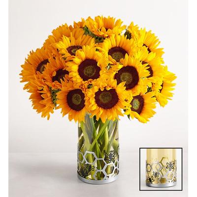 1-800-Flowers Flower Delivery The Honey & Happiness Bouquet 20 Stems W/ Bee Vase