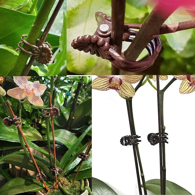 Mode Pflanzen Unterstützung Clips Garten 100PCS Blume Und Reben Stabile Spalier Für Klettern Image