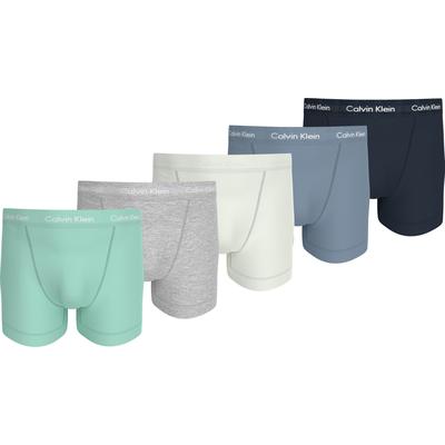 Trunk "TRUNK 5PK", Herren, Gr. L (52), shrn fd dnm cel tnt gry htr beau bl, Jersey, Obermaterial: 95% Baumwolle, 5% Elasthan, CALVIN KLEIN UNDERWEAR, körpernah, Unterhosen, mit Logo-Elastikbund Image