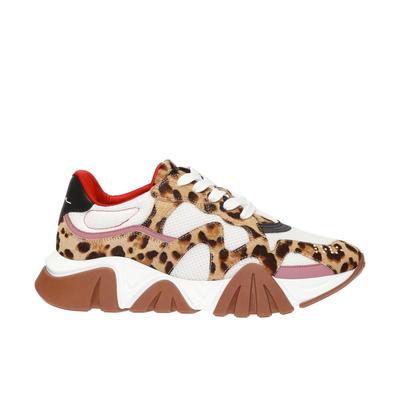 Versace Squalo Leopard Sneakers Image