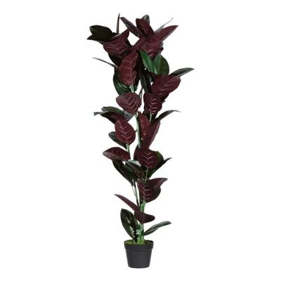 meet Kunstpflanze »Gummibaum« 120 cm, 120 cm