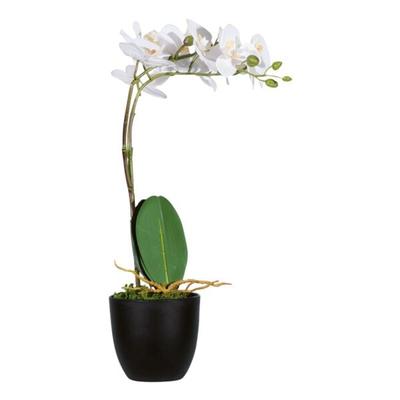 meet Kunstpflanze »Orchidee« 40 cm, 40 cm