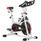Cyclette Professionale, Bici da Spinning, Cyclette da Camera Regolabile con Schermo LCD e