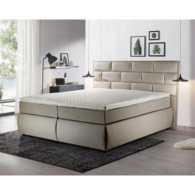 Winkle Boxspringbett Kronos Winkle Boxspringbett Kronos – erhältlich in Größen von 160x200 bis 200x200 cm Image