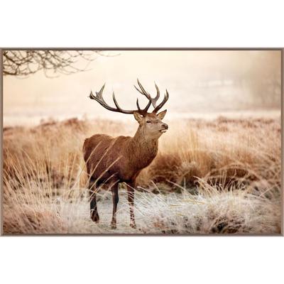 La Casa »Deer in Landscape« Wandbild 120x80 cm Image