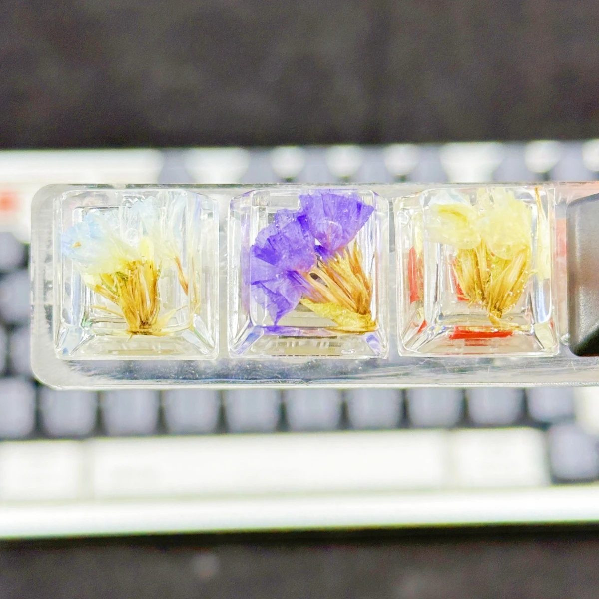 1 Stück Blume Don't Forget Me Cross Axis mechanische Tastatur Zubehör Tastenkappen Image