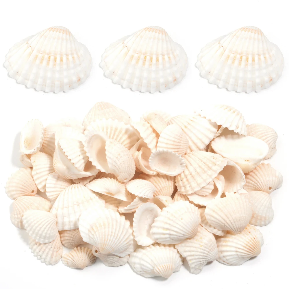 40g weiße perforierte Muschel perlen natürliche Schnees chale Abstand halter Perlen DIY Schmuck Armband Halskette Telefon Schlüssel tasche Kette Zubehör Image