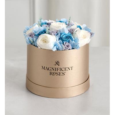 1-800-Flowers Flower Delivery Magnificent Roses Preserved Coastal Summer Exclusive Preserved Classic